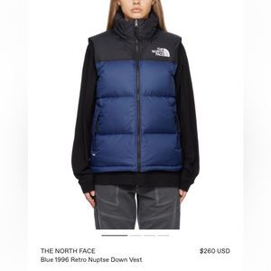 RETRO North Face Zip Up Feather Down Vest